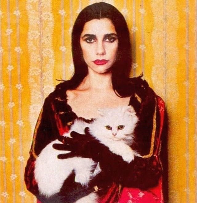 PJ Harvey Updates & Facts tweet media
