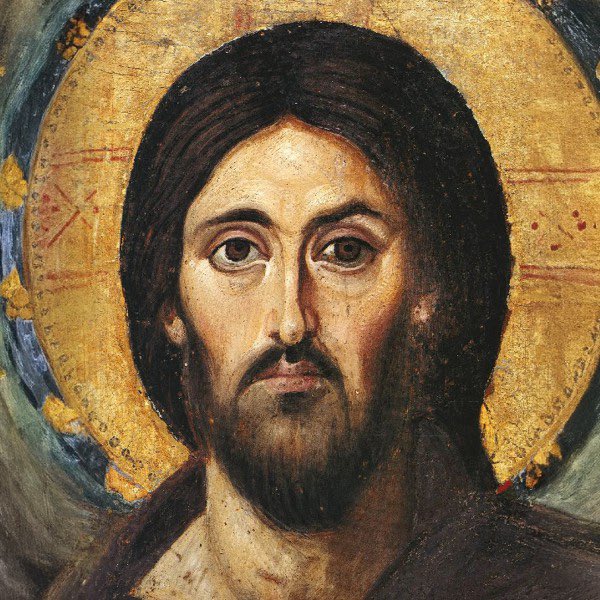 PJ Harvey Updates & Facts tweet media