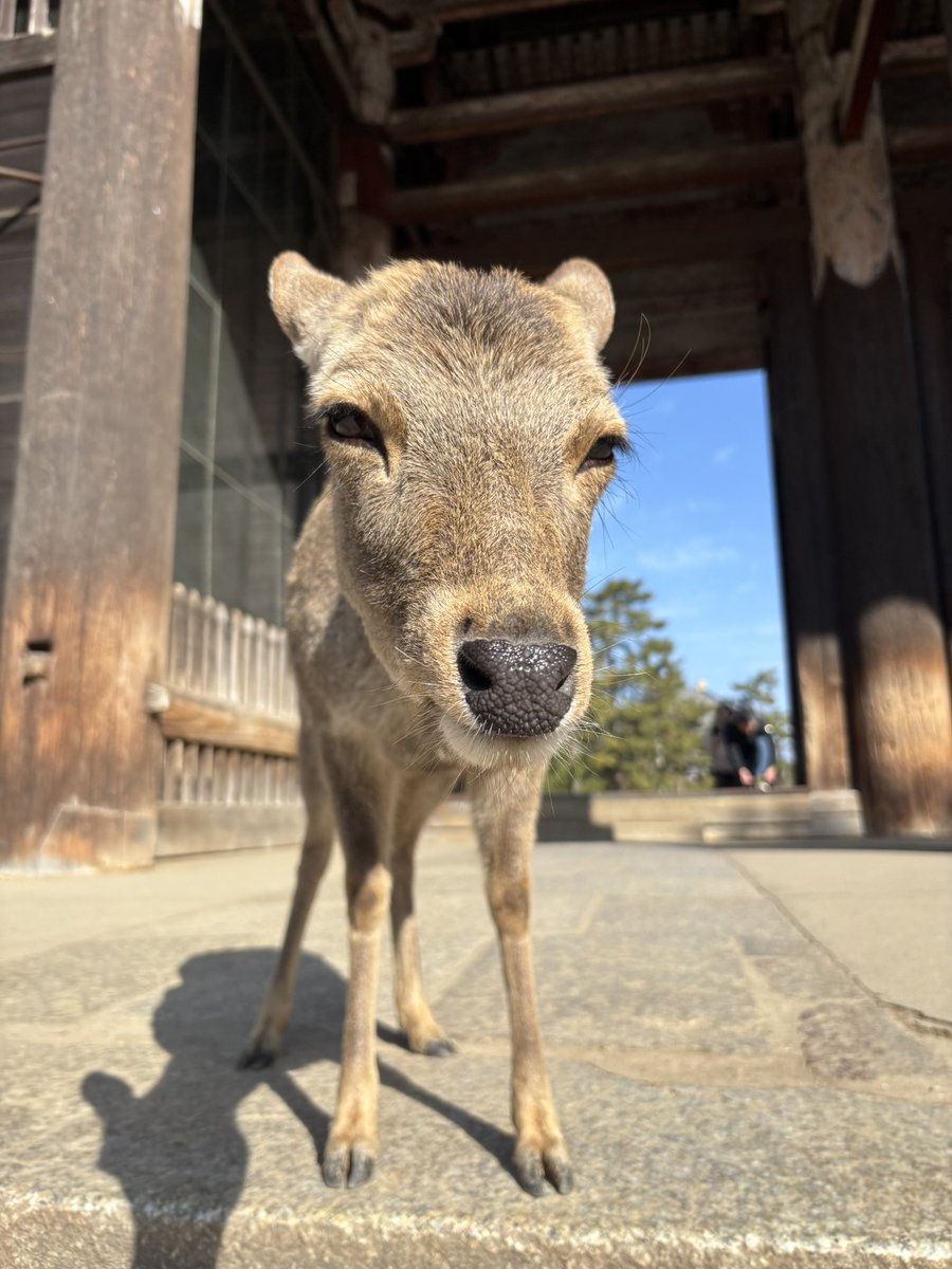 JP 🇮🇪 tweet media