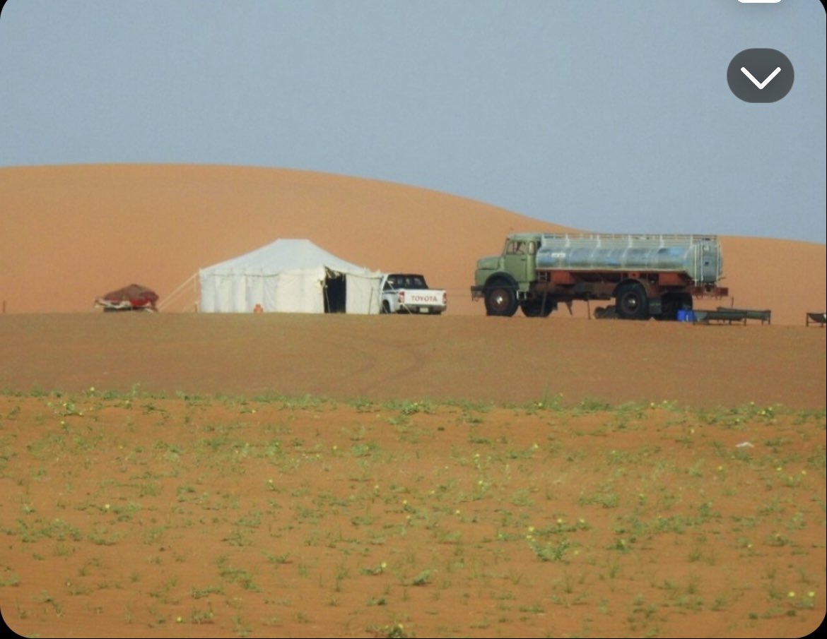 غَامْض🍃 .. tweet media