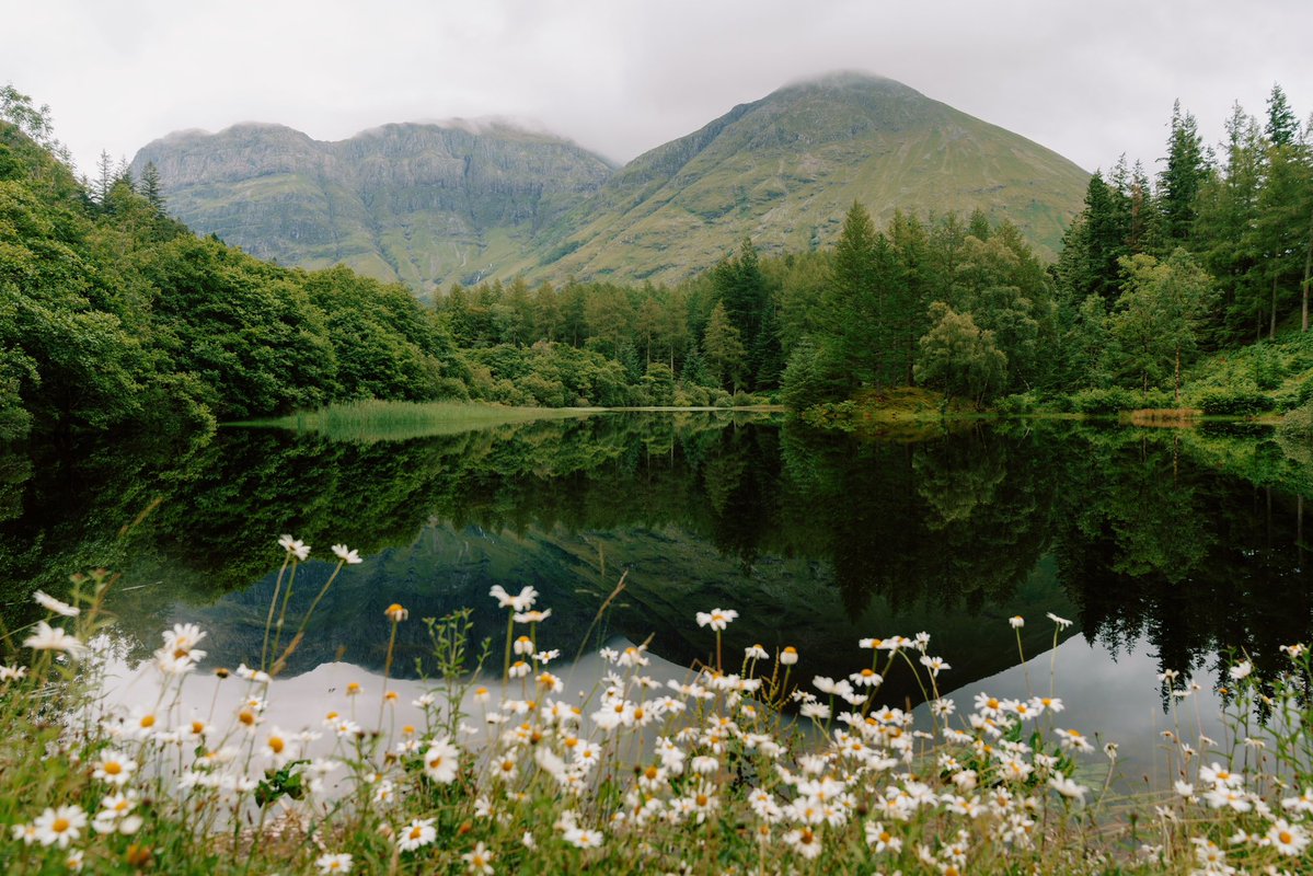 Daniel Casson tweet media