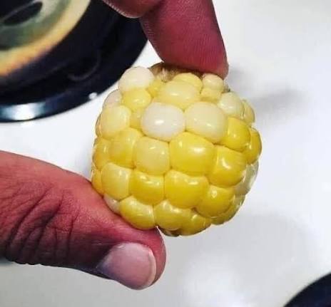 concernedbrother81 tweet media