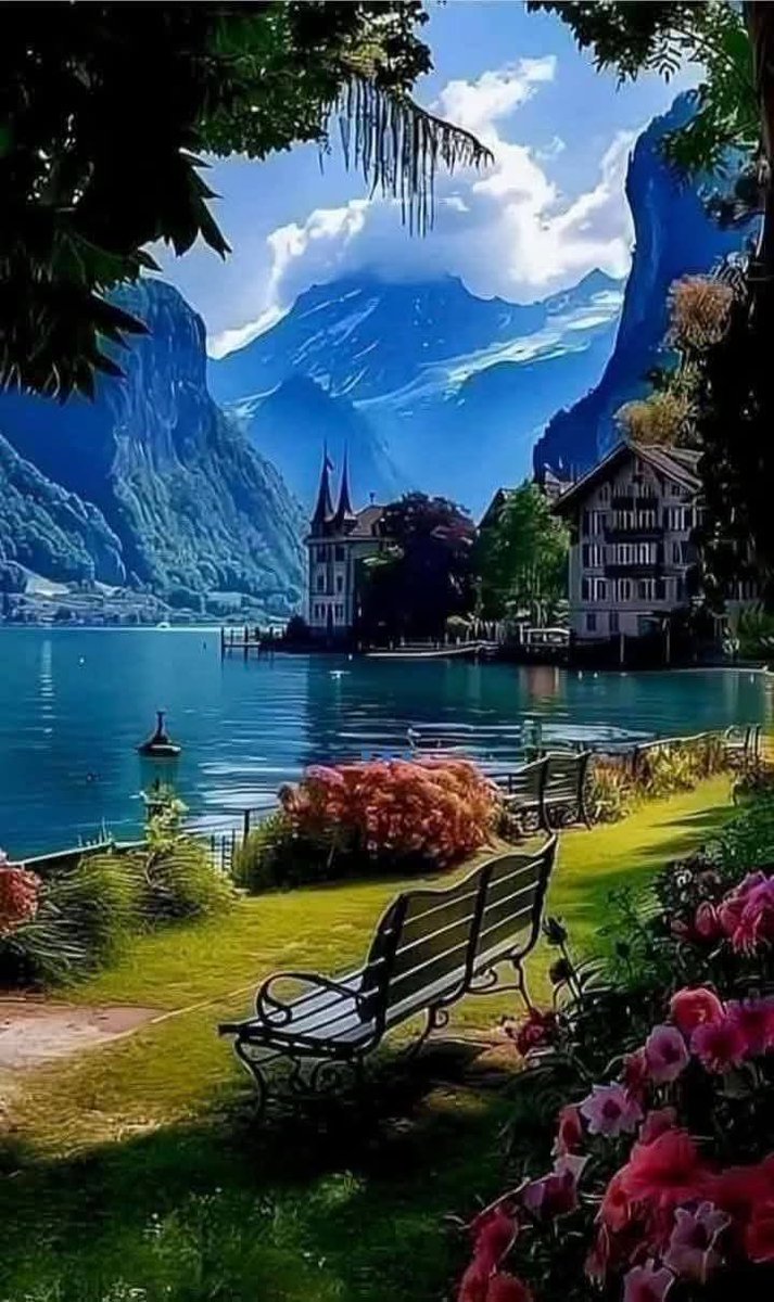 teisir baroud tweet media