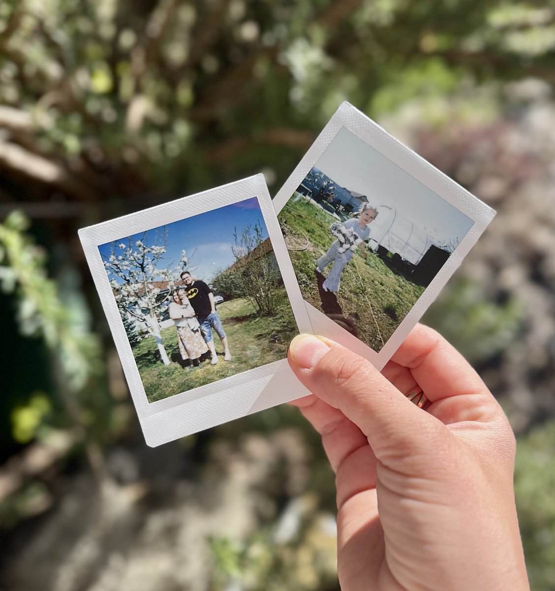 краватка Лінча tweet media