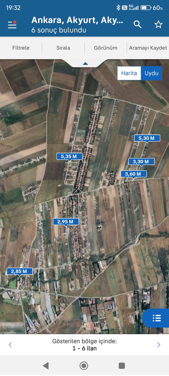 Deli Mavi tweet media