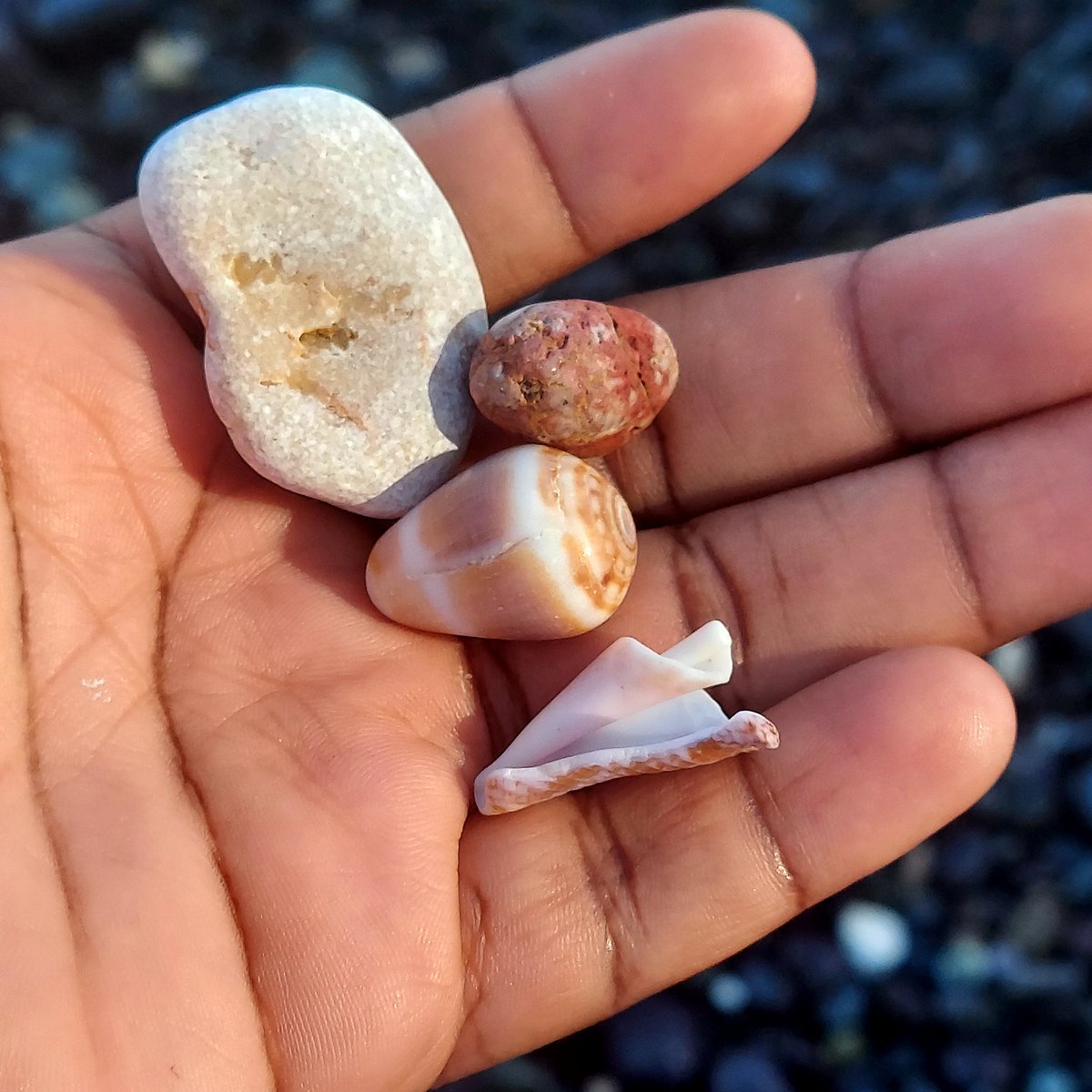 9inch876🍆💦🇯🇲 tweet media