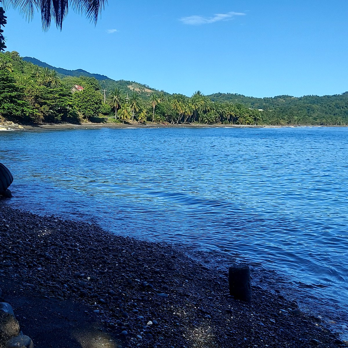 9inch876🍆💦🇯🇲 tweet media