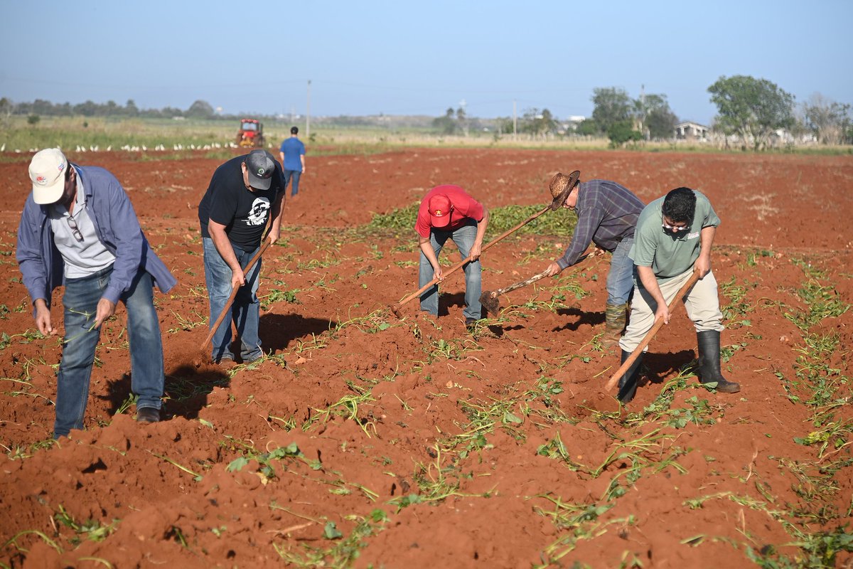 Presidencia Cuba 🇨🇺 tweet media
