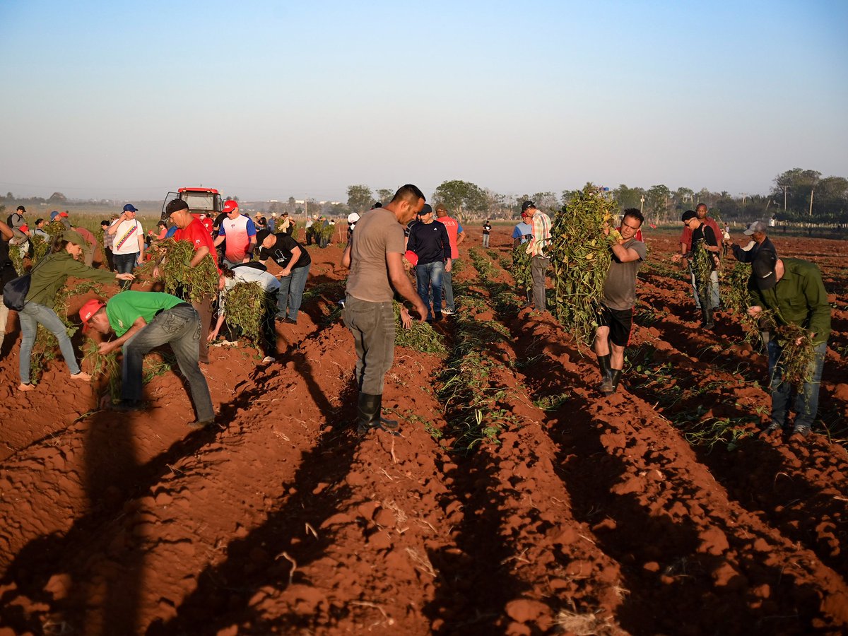 Presidencia Cuba 🇨🇺 tweet media