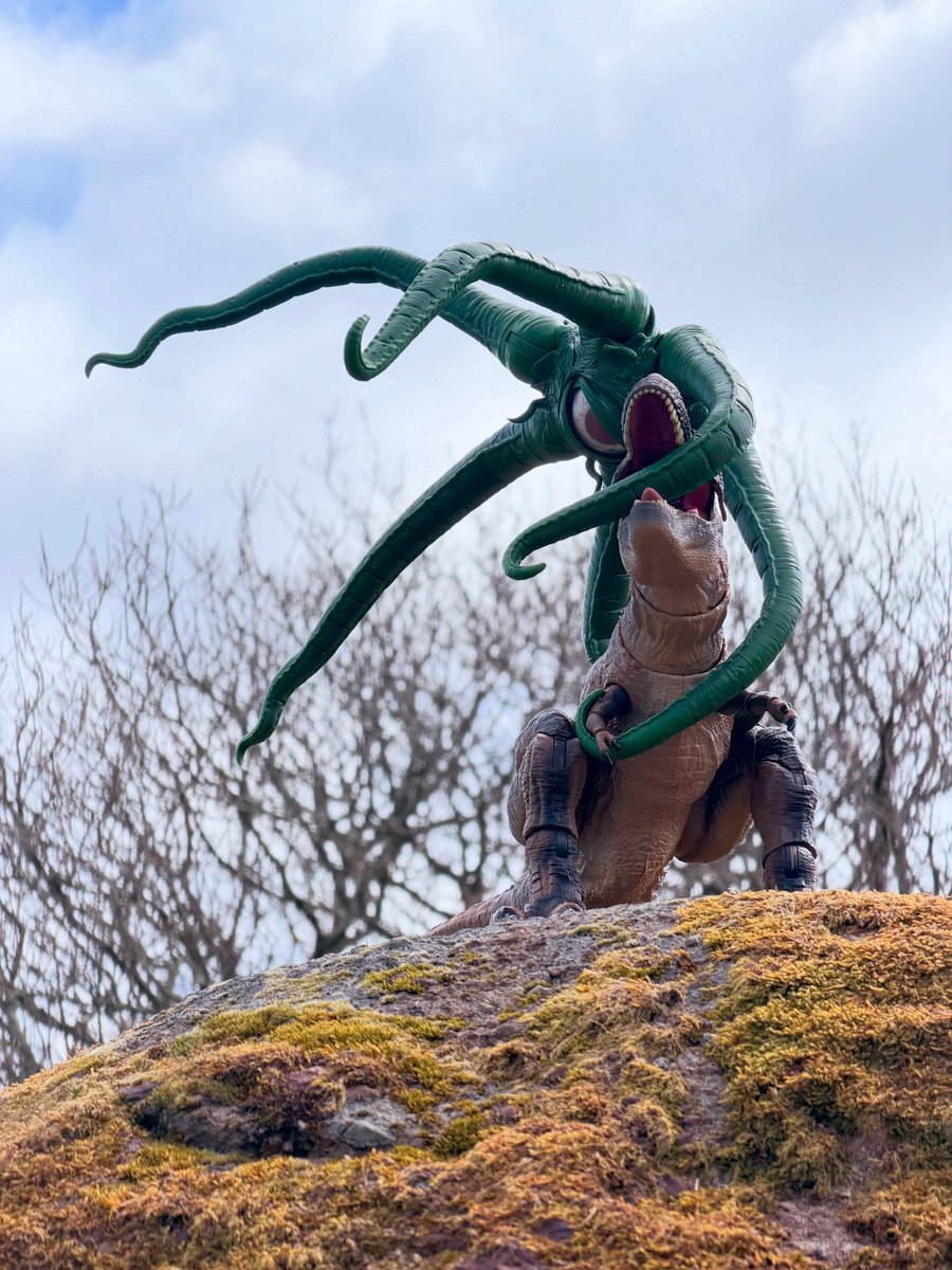 Gavin (@gav_gavo) on Twitter photo 