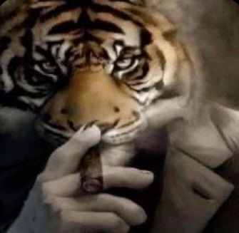 𝗥𝗢𝗝𝗢 y 𝗡𝗘𝗚𝗥𝗢 tweet media