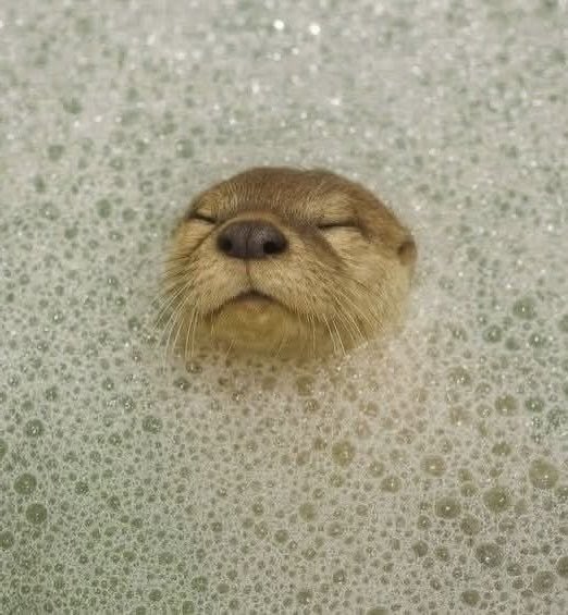 Charlie Cox as Otters tweet media