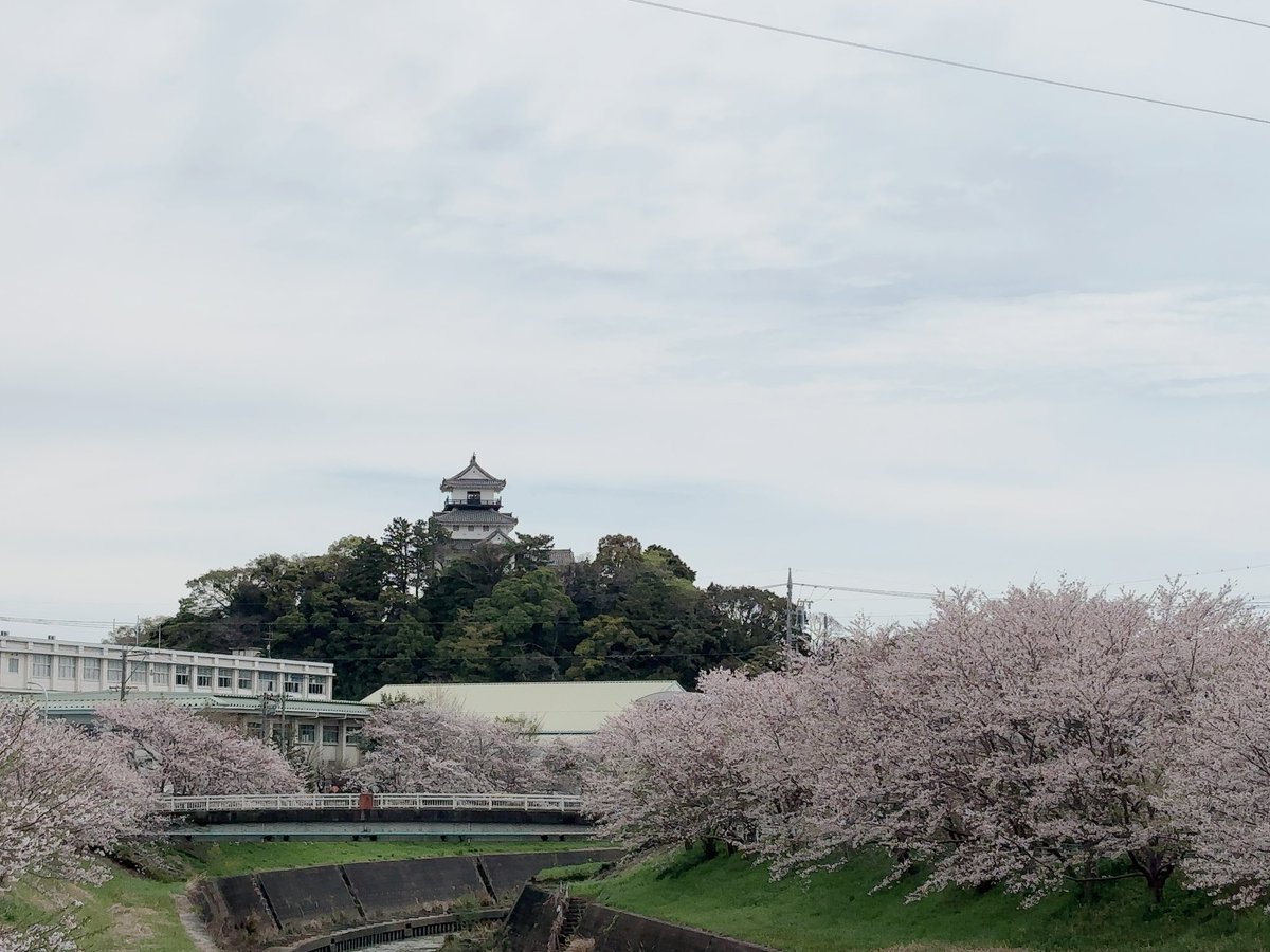 ♡いあ♡ tweet media