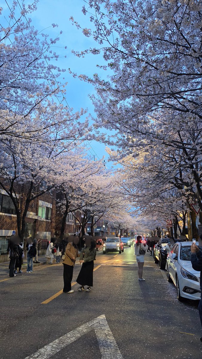 무식.. tweet media