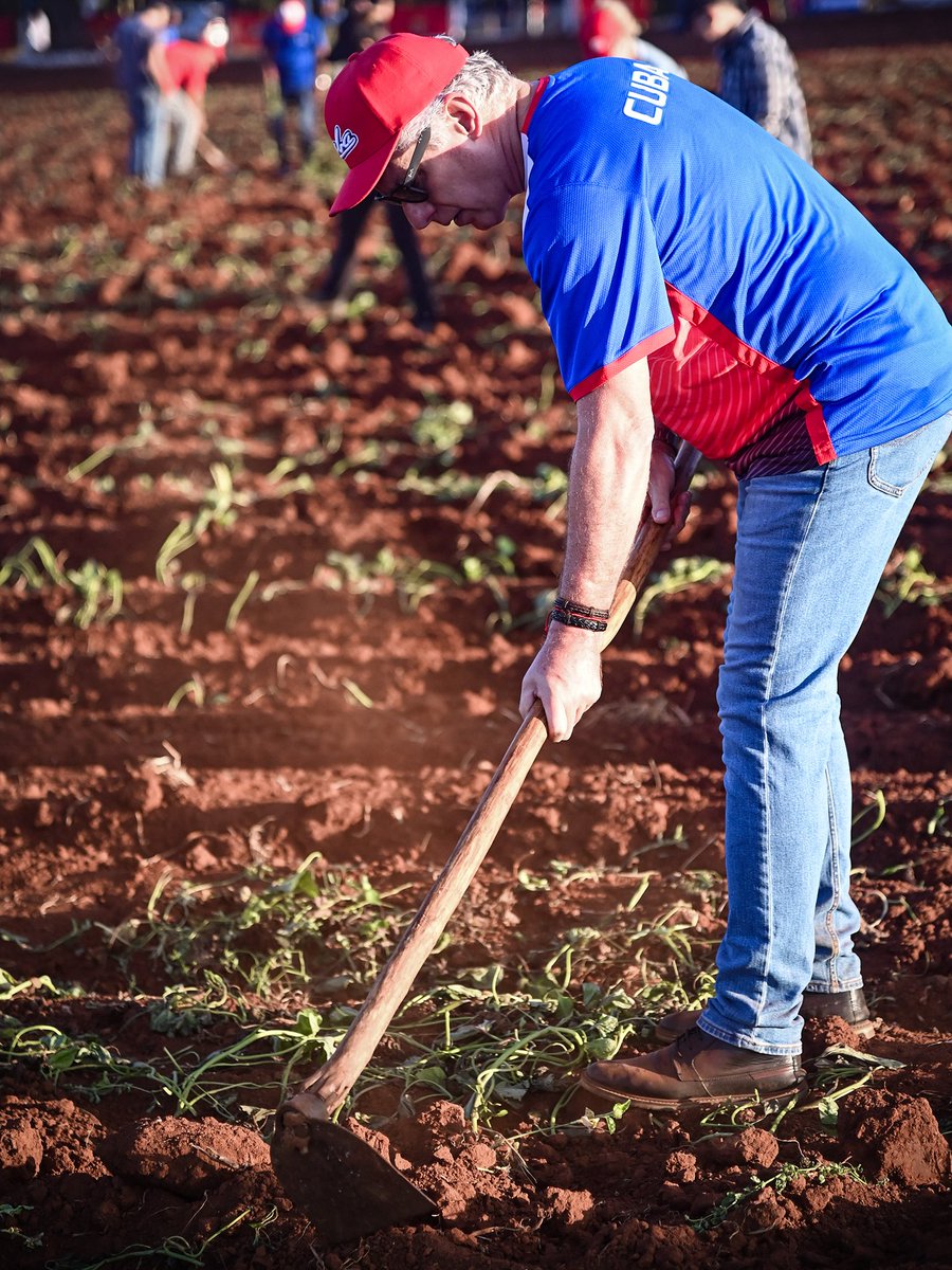 Presidencia Cuba 🇨🇺 tweet media