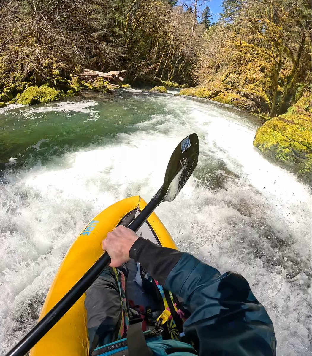 Brice Creek Oregon