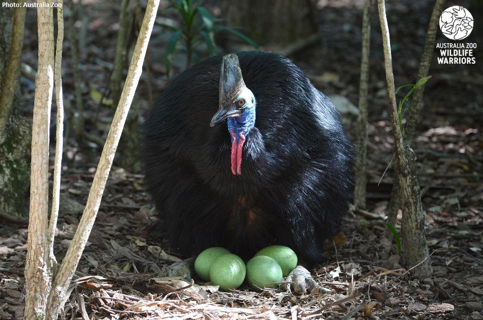 OffBay Media tweet media