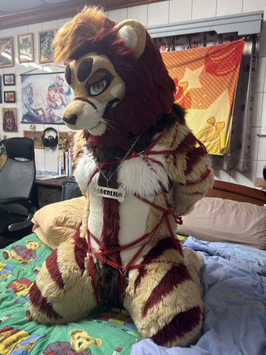 PaderLion tweet media