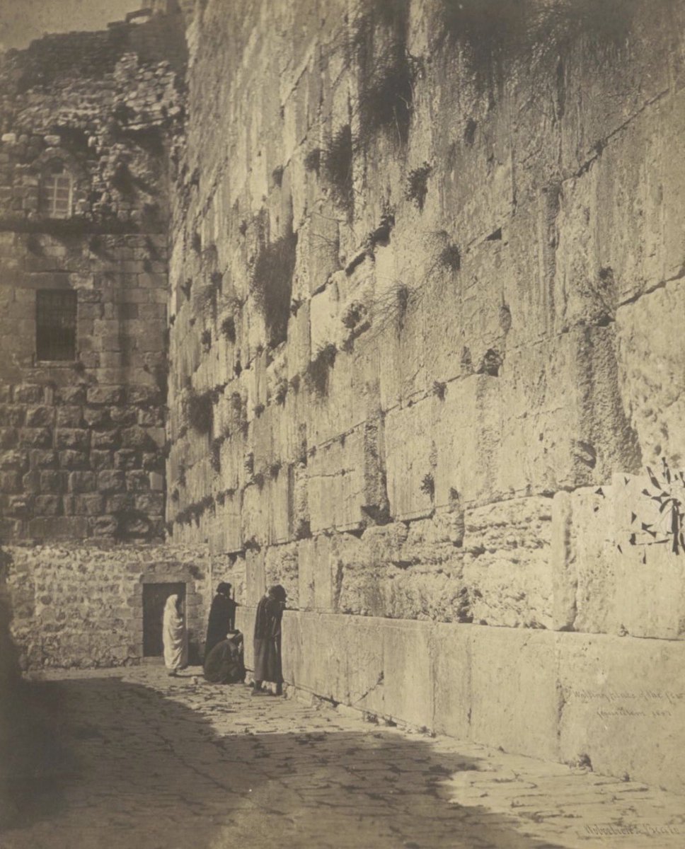 Reuven Goldstein tweet media