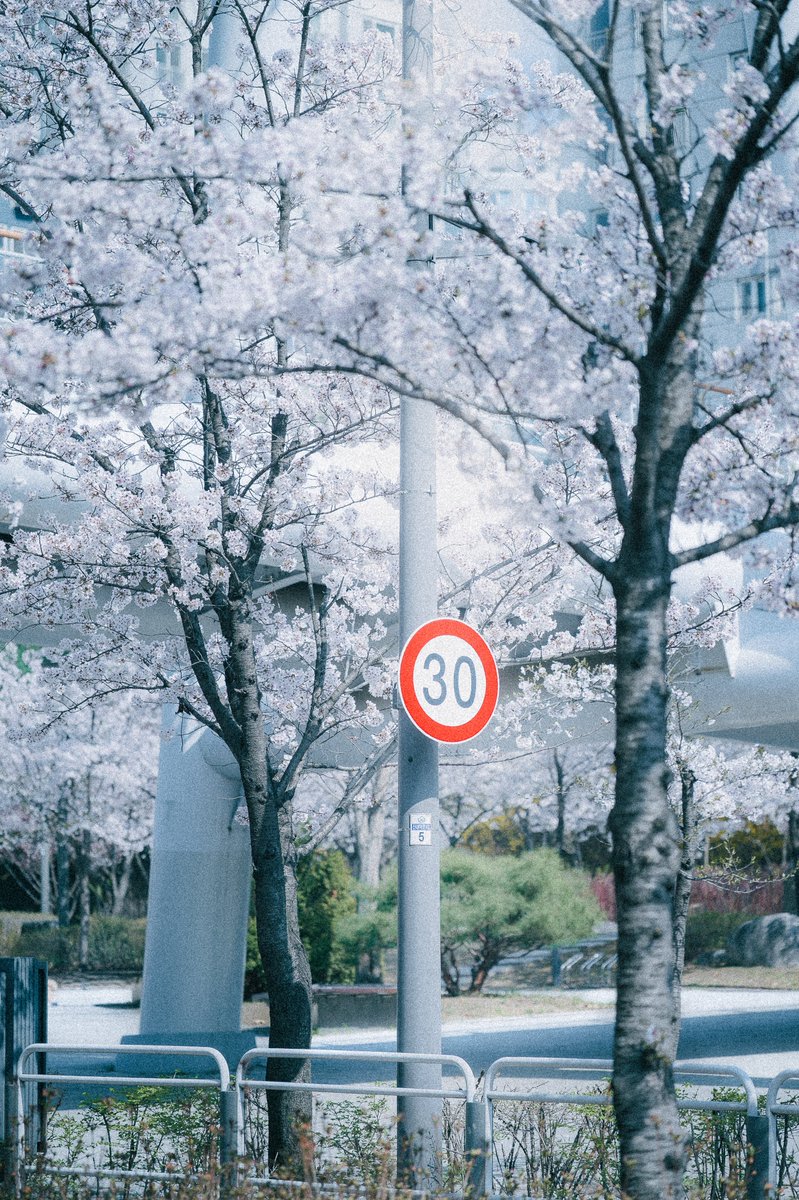 깜토 くろうさぎ tweet media