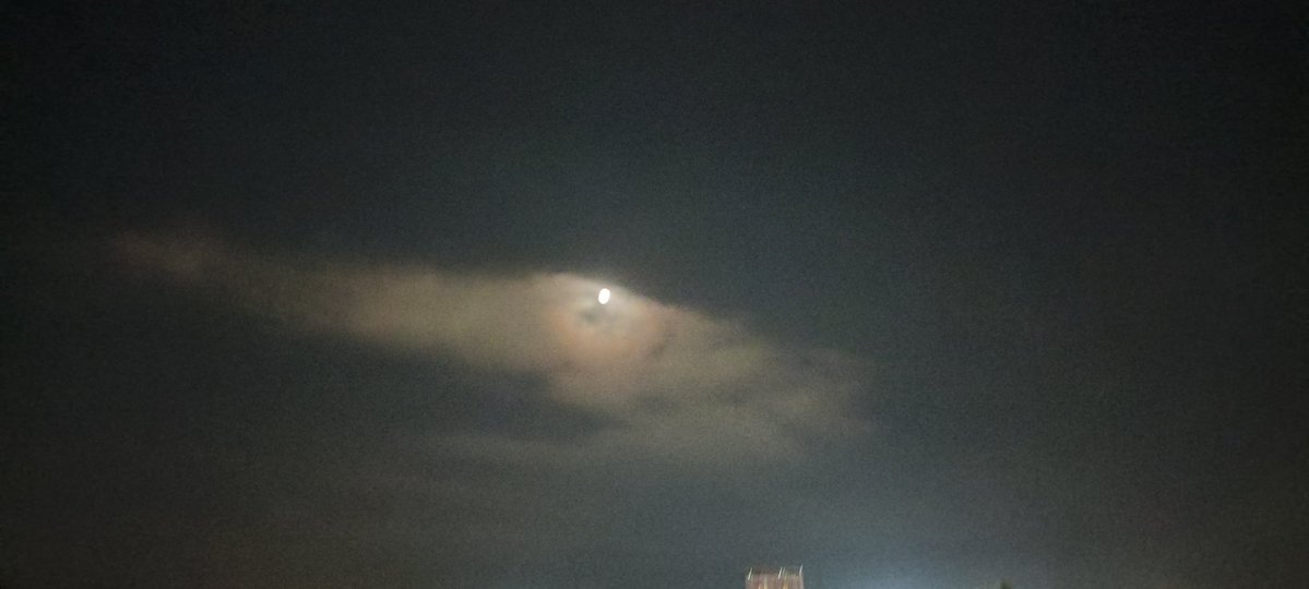 あいぽん💚 tweet media