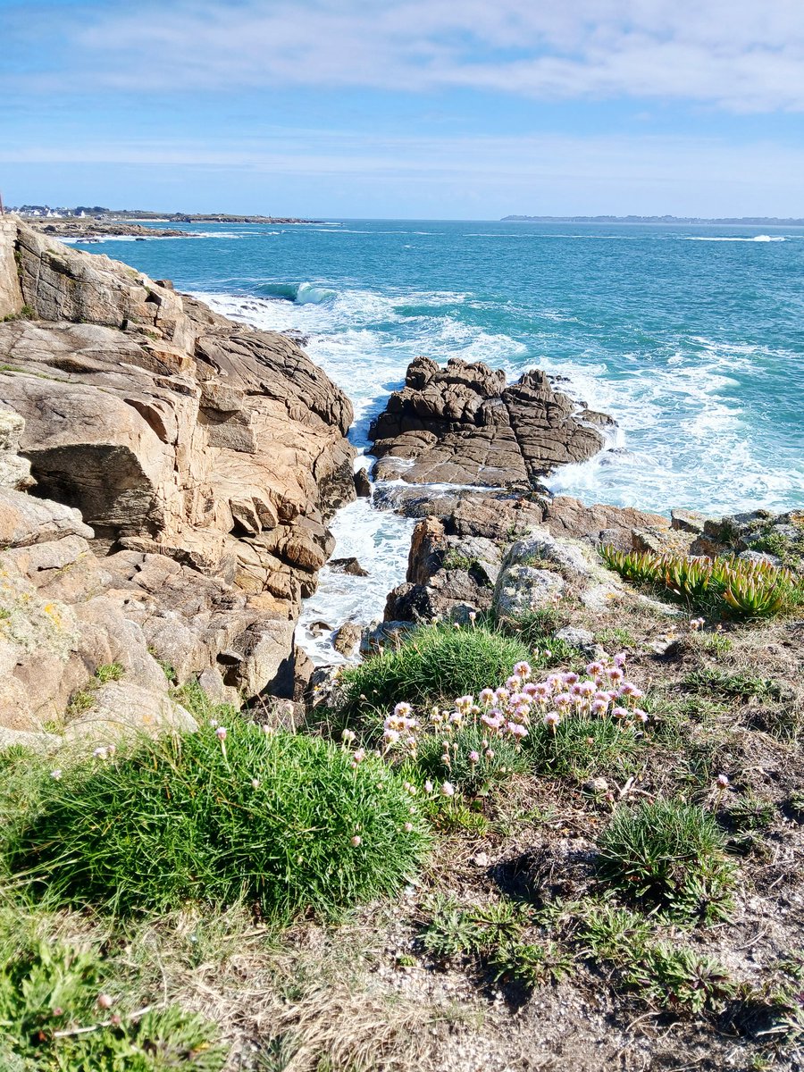 Valérie tweet media