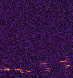 Wolfram Japan tweet media