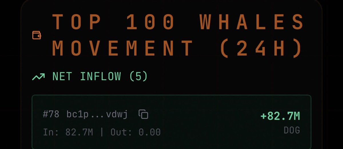 Vincent (Cryptolution) 👑 tweet media