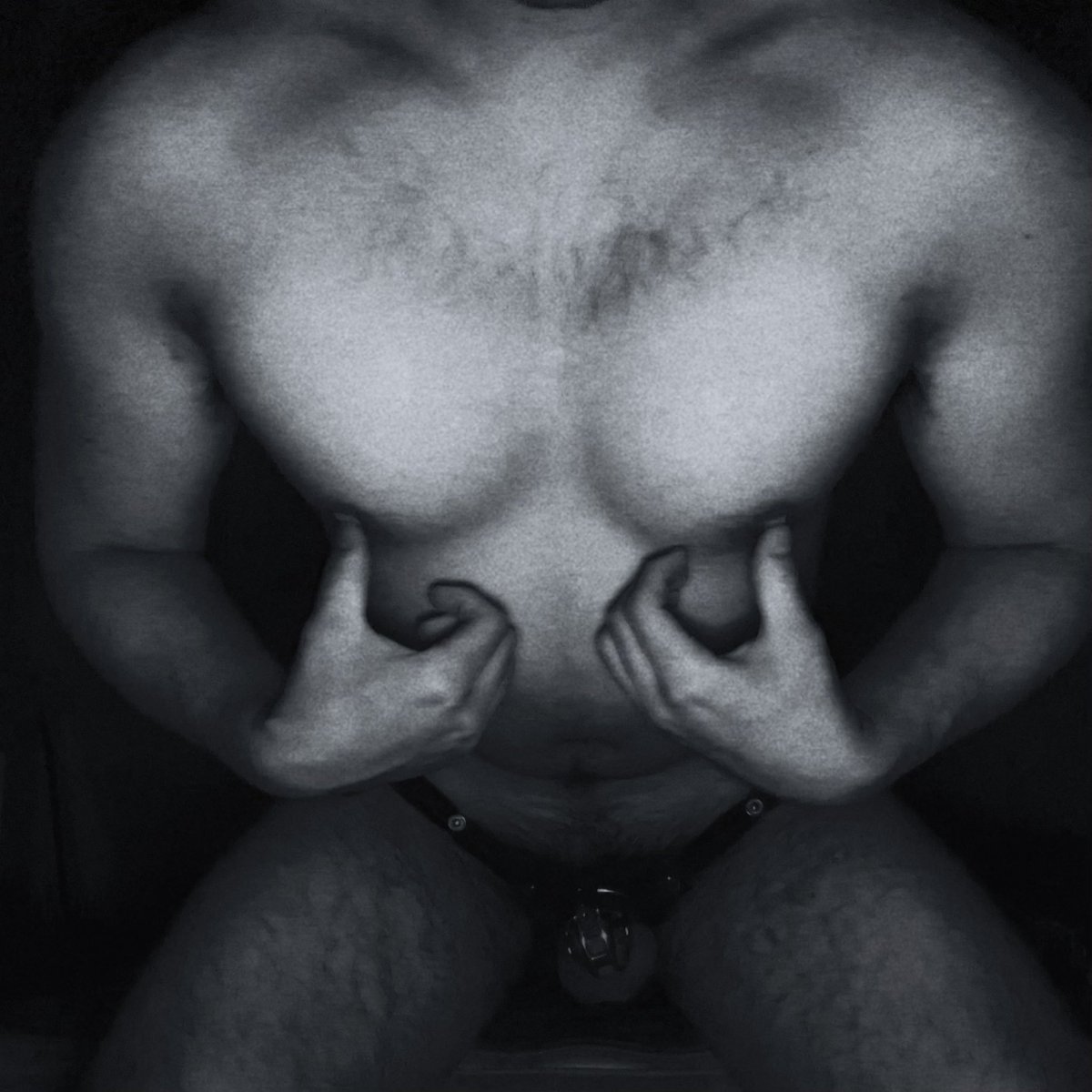 感受态 tweet media