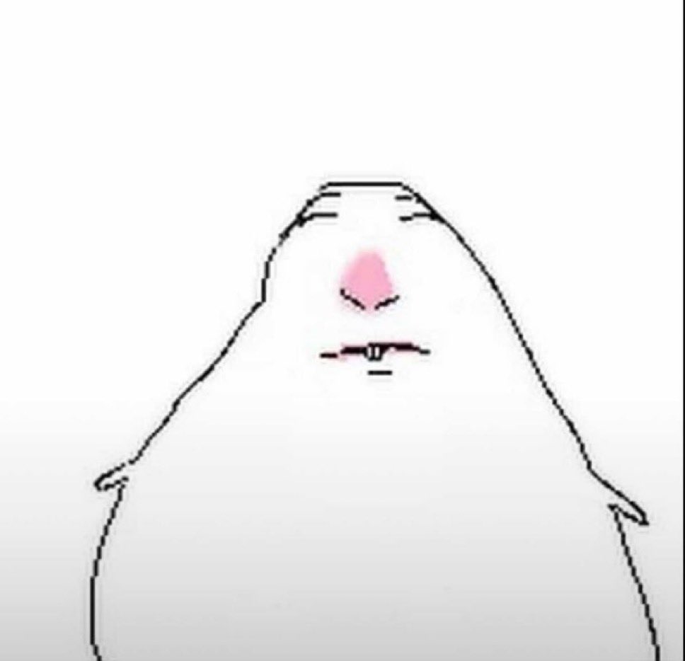 나몰 무지크 tweet media