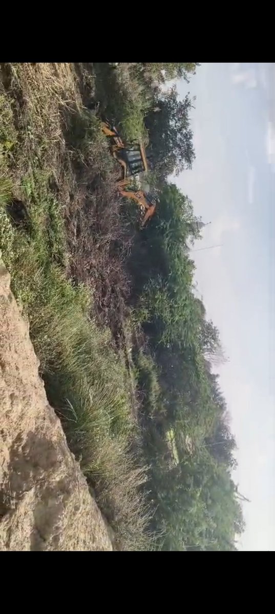 surenderthales's tweet photo. Kharawar (Rohtak) me illegal tree cutting100+ ped bina permission ke kaat diye gaye CM Window&amp;DC complaint  ke bad bhi no action JCB se ped ukhade gaye Jaddtak mita di gayi (evidnce destroy) @cmohry @dcrohtak @haryanaforest #SaveTrees #Rohtak #Haryana #StopIllegalCutting 🌳🌲 https://t.co/44DARwRAYJ