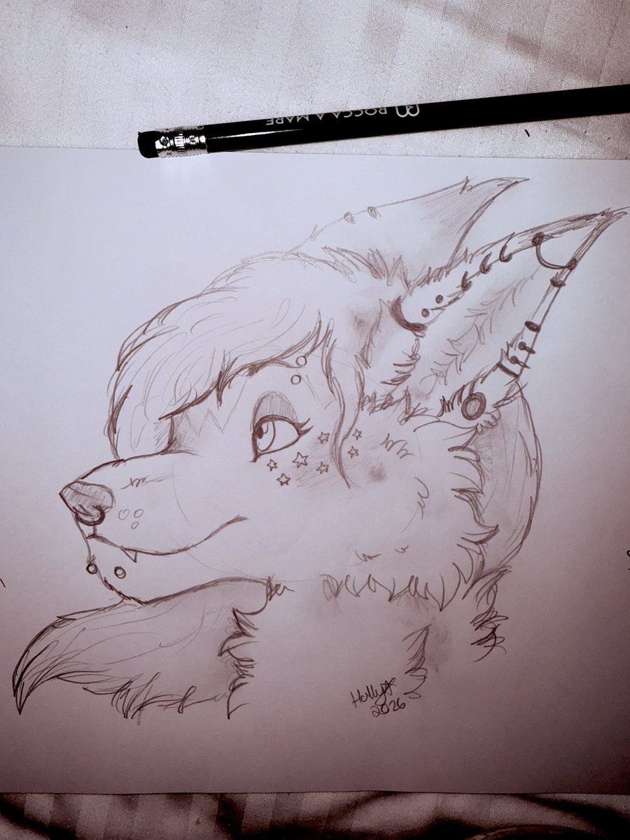 Some traditional sketches I doodled recently whilst on holiday on a rainy day ✨🌸 i should deffo do more traditional work for sure ✨🌸

#furryart #furryfandom #furry #furrysketch #furrycommunity