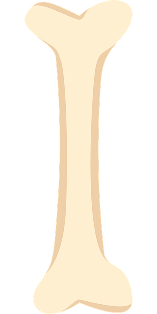 Fred Carroll tweet media