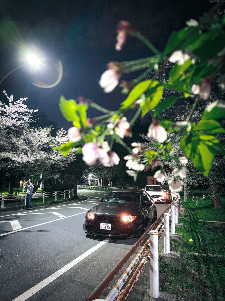 なんとか葉桜になる前に滑り込めた