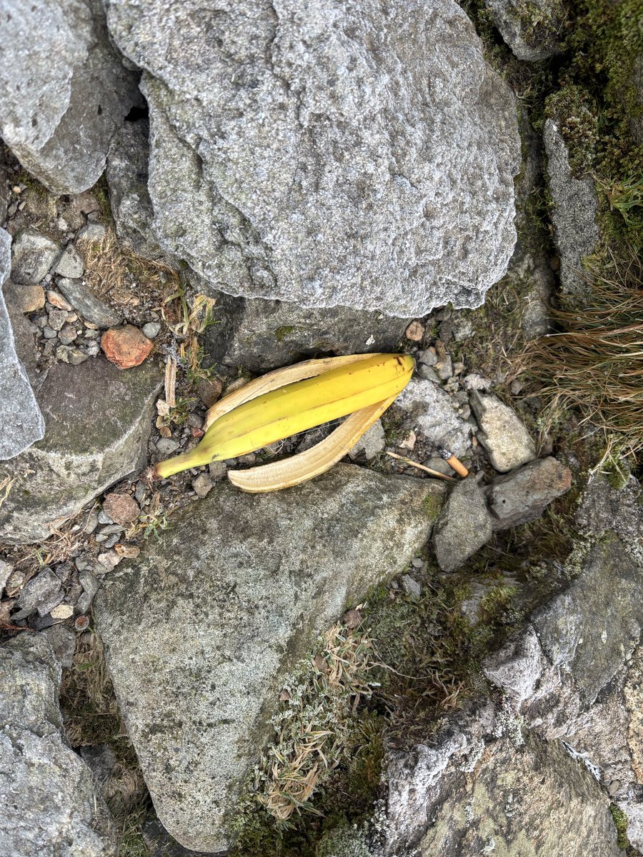 Fell Top Assessors tweet media