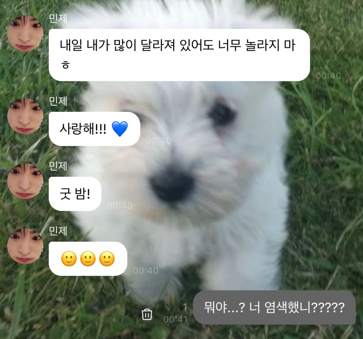 ɪᴍᴀ tweet media