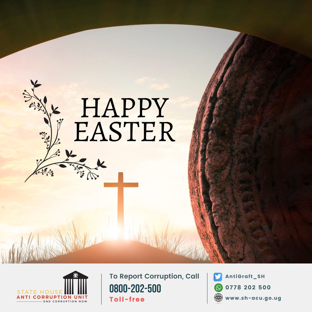 Hasifah Nazziwa tweet media