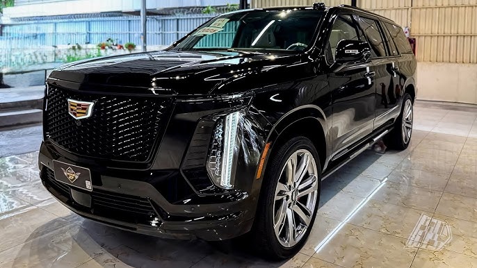 Mujahid Saleh Saad tweet media