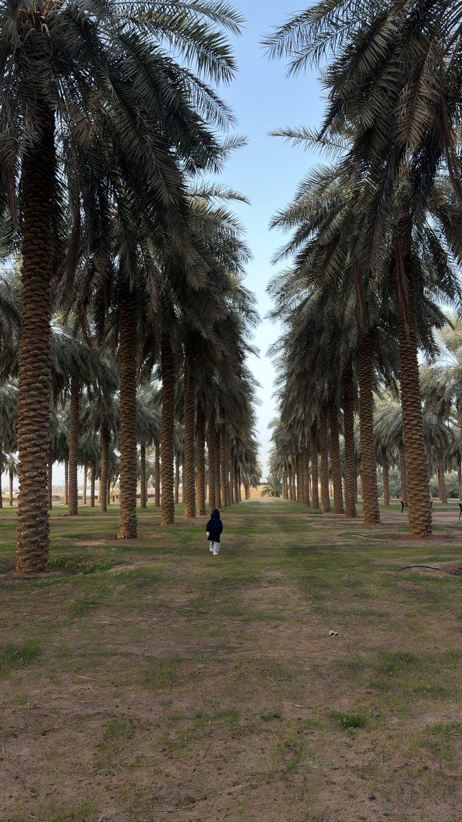 𝐿𝑎𝑚𝑎 tweet media