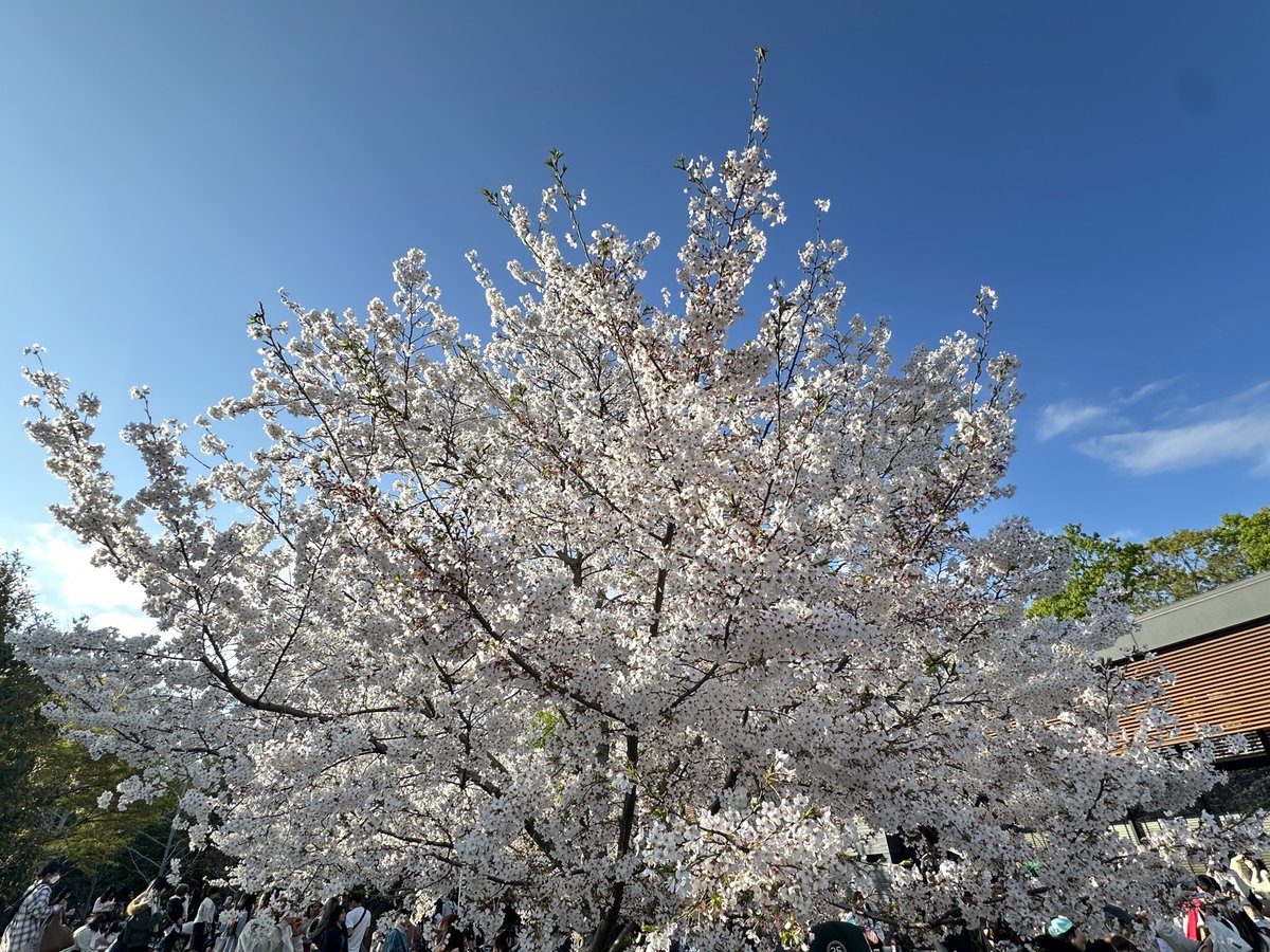 O4MA.👟 tweet media