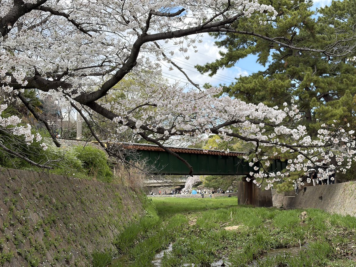 juone💫FAM👨‍👩‍👧‍👦TRG tweet media