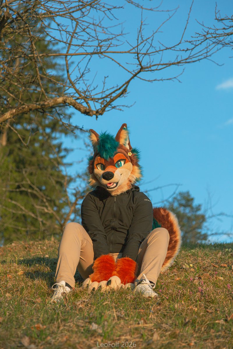 Tyr-Wulf🐺 tweet media