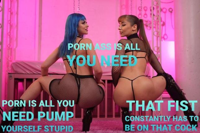 Dave The Gooner tweet media