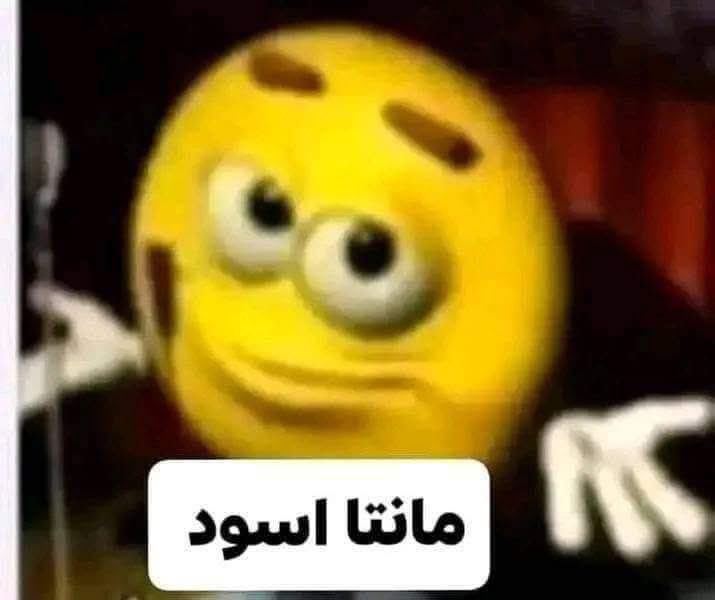 karim_zain77 tweet media