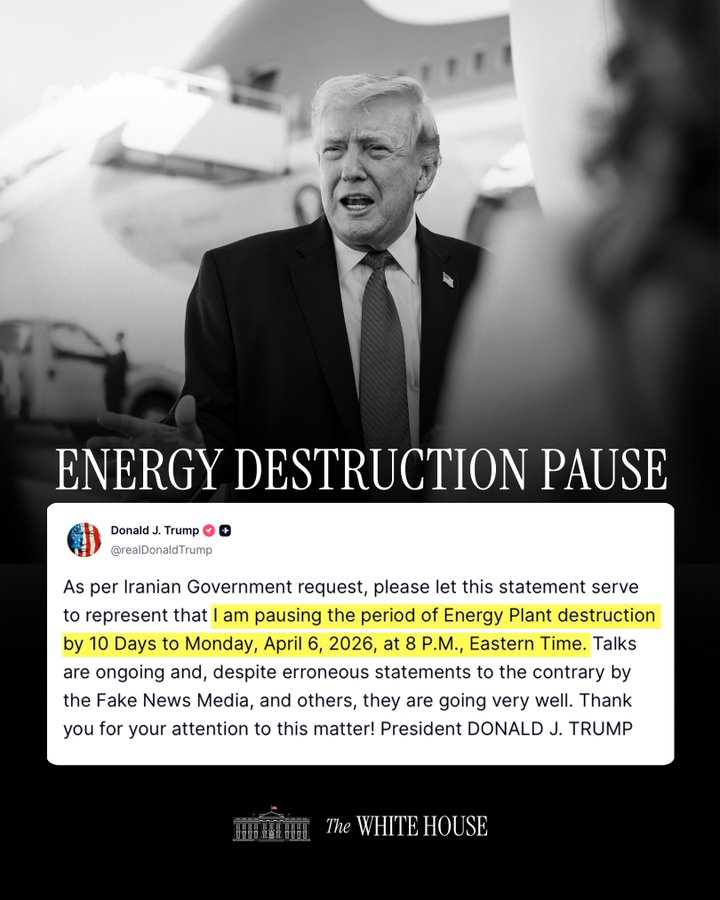 ابو دانتي - ماجد الحربي tweet media