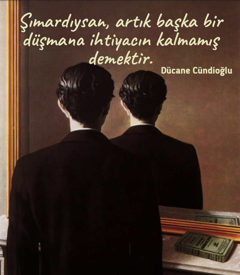 Halil Mert tweet media