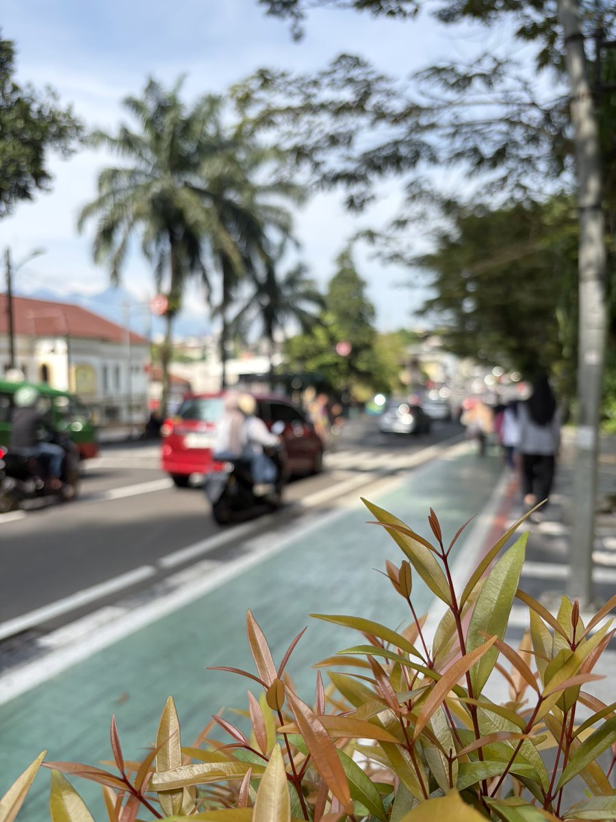 kaktus maniss tweet media