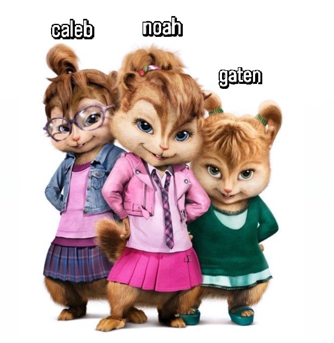 𝓹𝓪𝓸 🌻⚯ ͛ tweet media