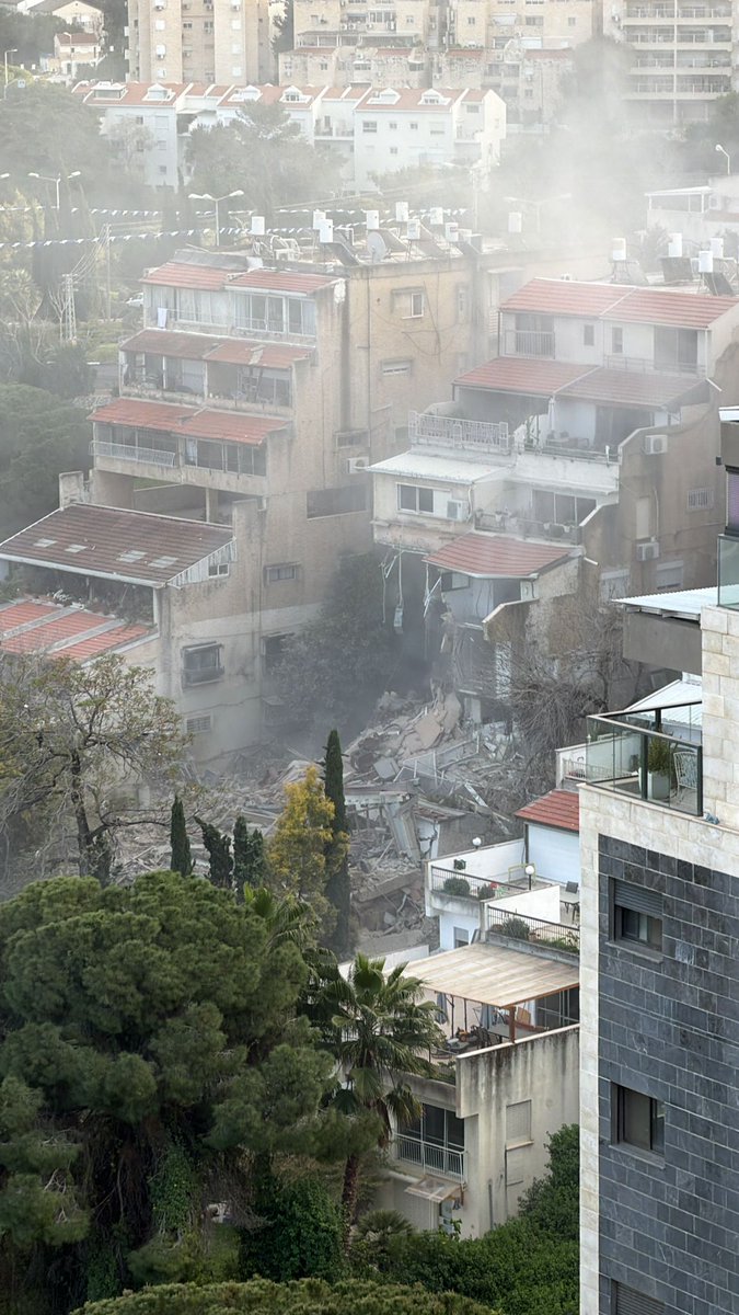 Magic Flower tweet media