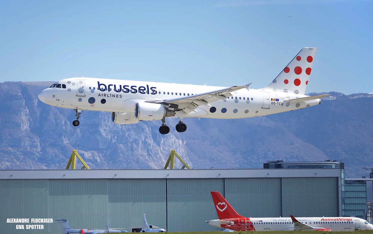 Alexandre FLUCKIGER tweet media